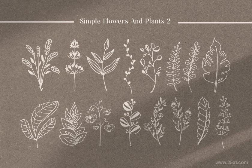 25xt-612249 BotanicalLineArtIllustrationVol2z3.jpg