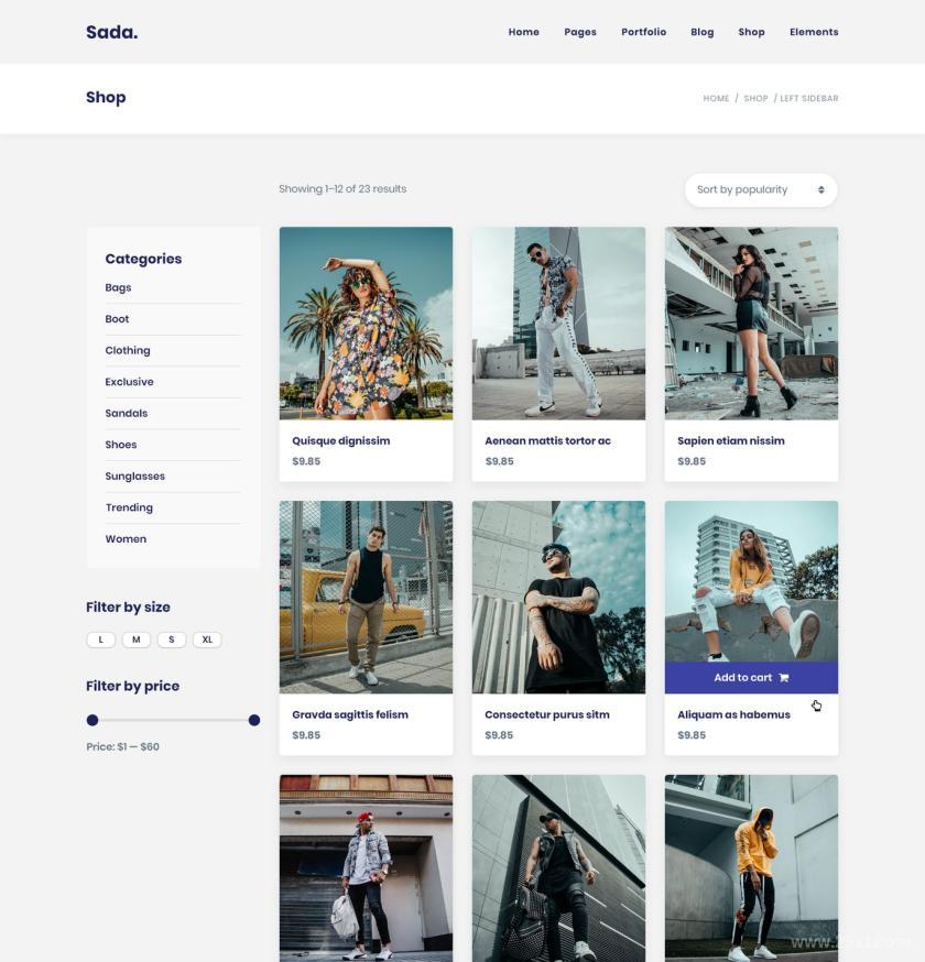 25xt-612126 Sada-AWordPressThemeForBlogShopz8.jpg