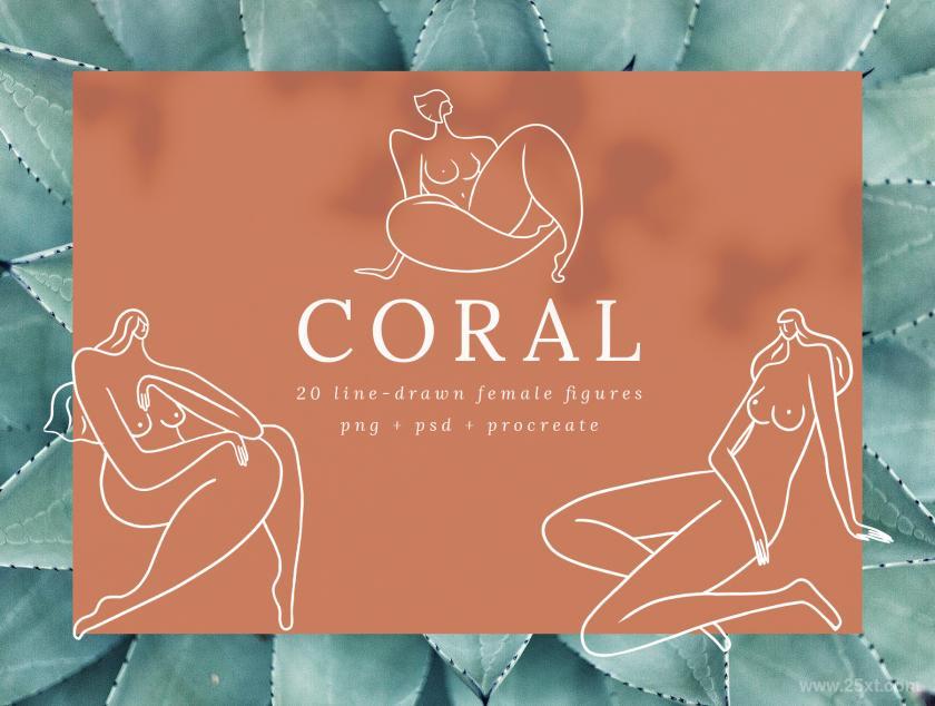 25xt-484795 CoralFeminineLineDrawingsz3.jpg