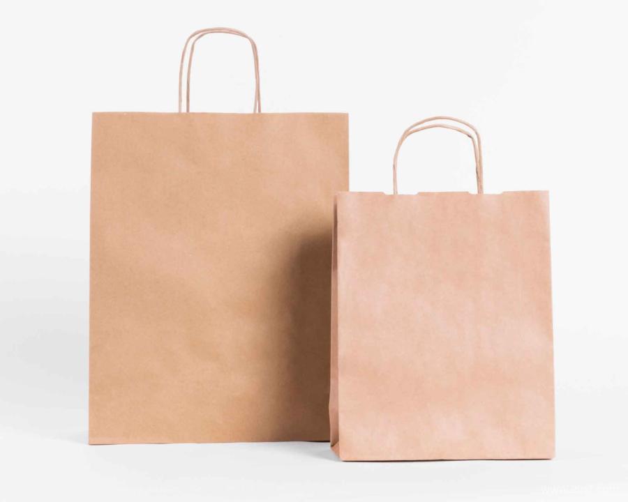 25xt-5050001 Free-Eco-Paper-Bag-Mockup-PSDBagsz3.jpg