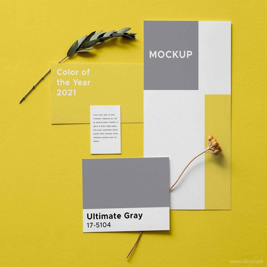 25xt-5050015 Free-Illuminating-Gray-Card-Branding-Mockup-PSDBranding--Stationeryz3.jpg