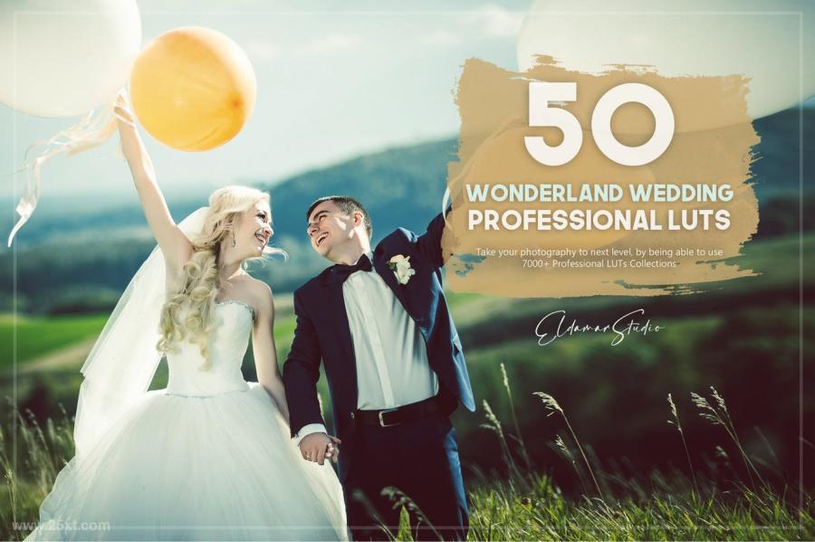25xt-127743 50-Wonderland-Wedding-LUTs-Packz2.jpg