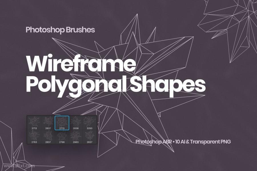 25xt-127791 Wireframe-Polygonal-Shapes-Photoshop-Brushesz2.jpg