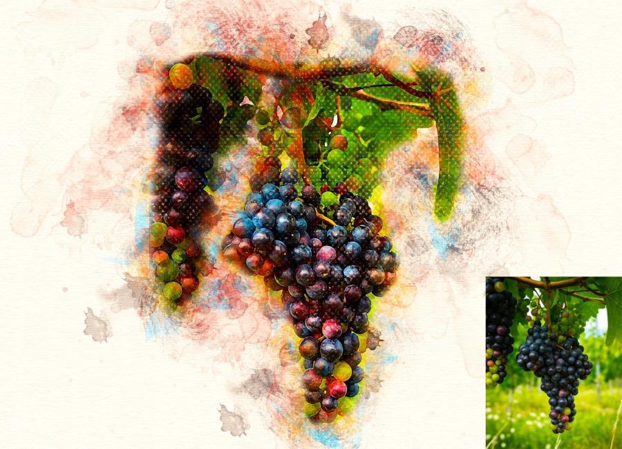 25xt-127829 Hand-Paint-Watercolor-Photoshop-Actiz13.jpg