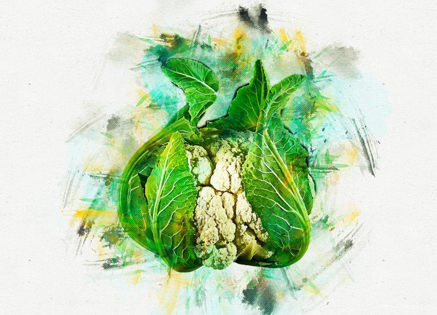 25xt-127829 Hand-Paint-Watercolor-Photoshop-Actiz7.jpg