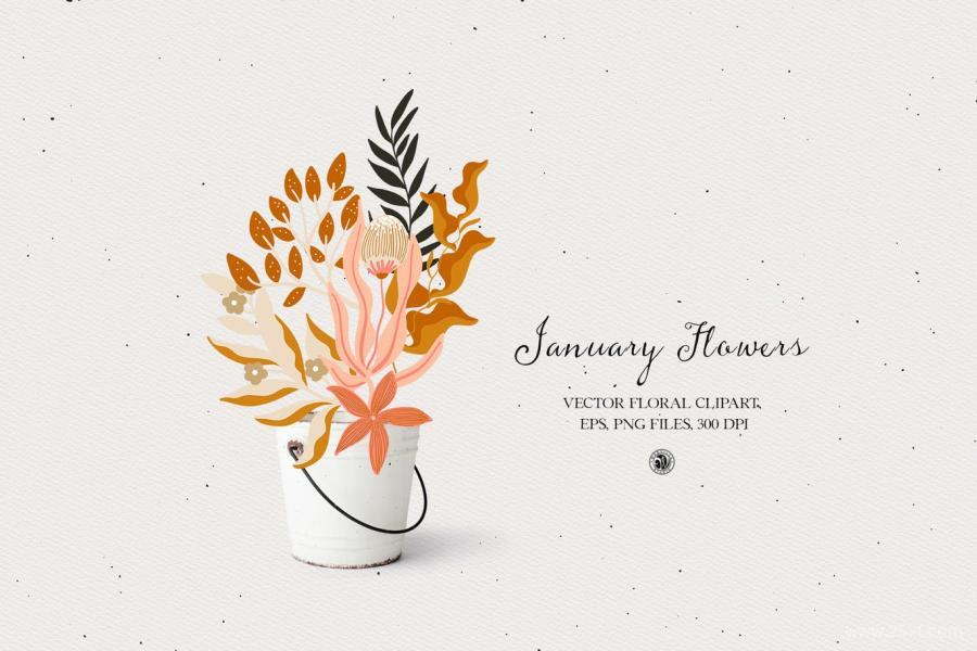 25xt-127869 January-Flowers---vector-clipart-setz3.jpg