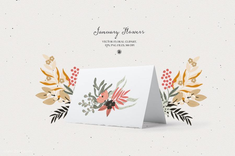 25xt-127869 January-Flowers---vector-clipart-setz6.jpg