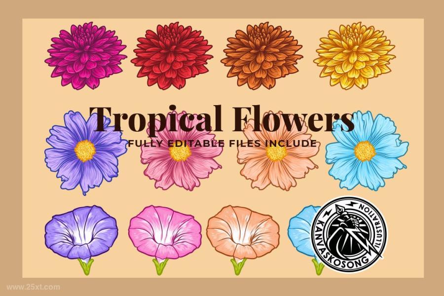 25xt-127878 Tropical-Flowers-Illustration-Packz4.jpg