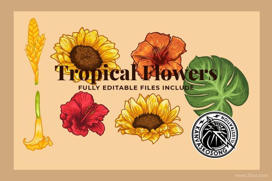 25xt-127878 Tropical-Flowers-Illustration-Packz5.jpg