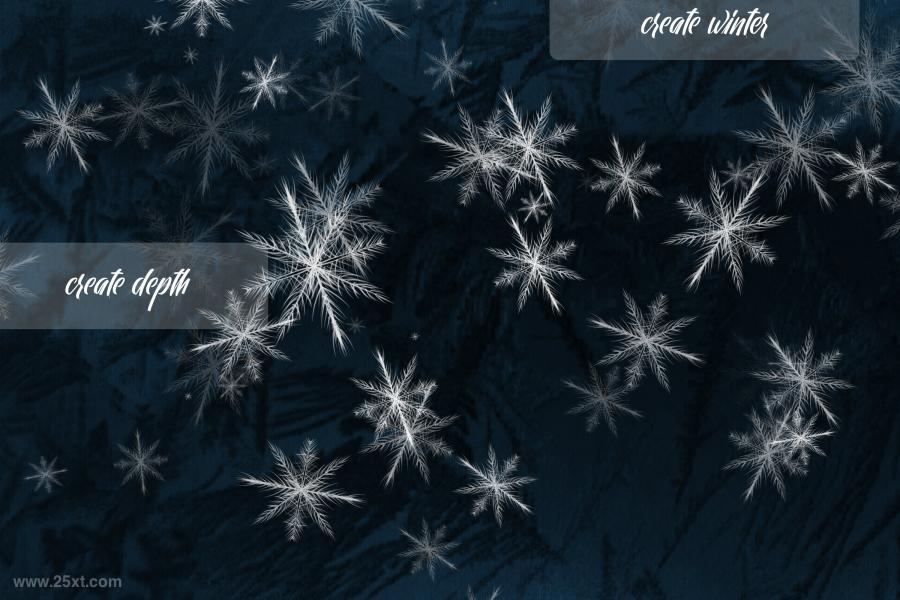 25xt-127563 Frozen-Brushes-for-Procreatez4.jpg