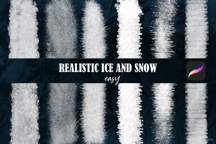 25xt-127563 Frozen-Brushes-for-Procreatez6.jpg