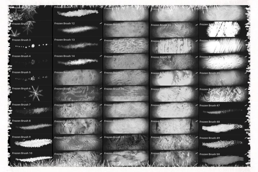 25xt-127563 Frozen-Brushes-for-Procreatez7.jpg