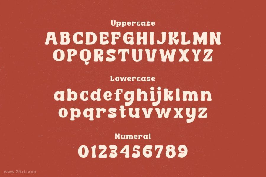 25xt-485926 Cordion---Chubby-Serif-Typefacez3.jpg