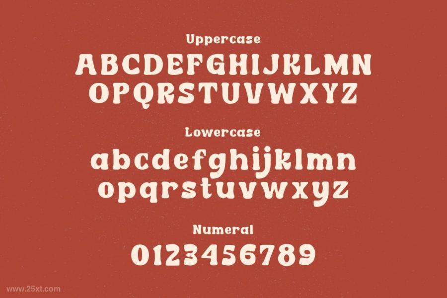 25xt-485926 Cordion---Chubby-Serif-Typefacez3.jpg