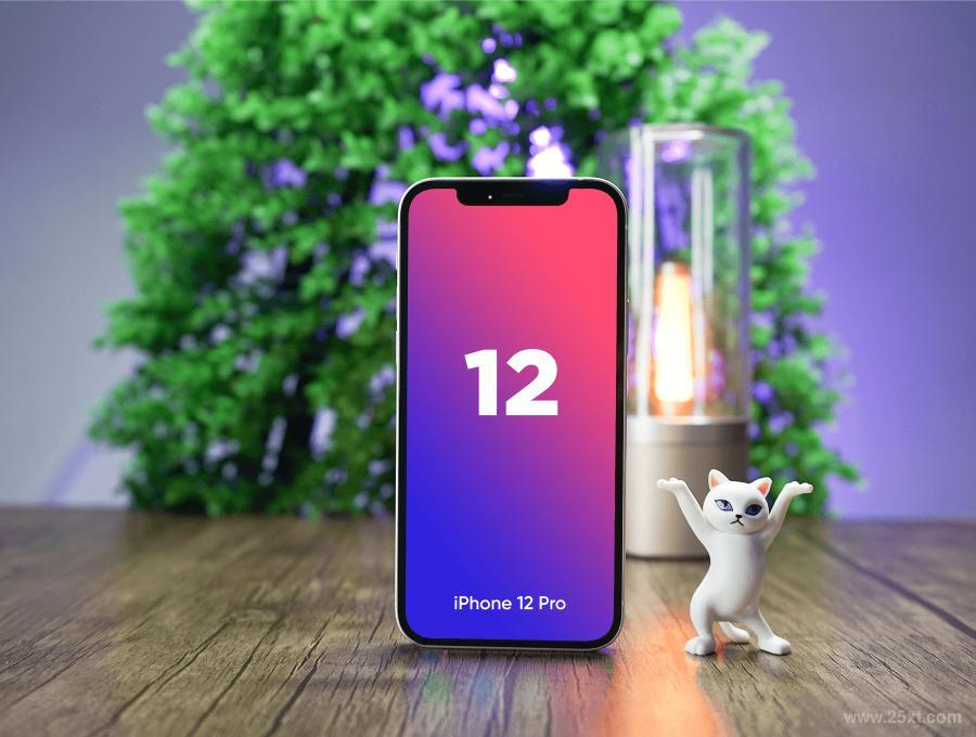 25xt-486137 iPhone12RealisticMockupsz10.jpg