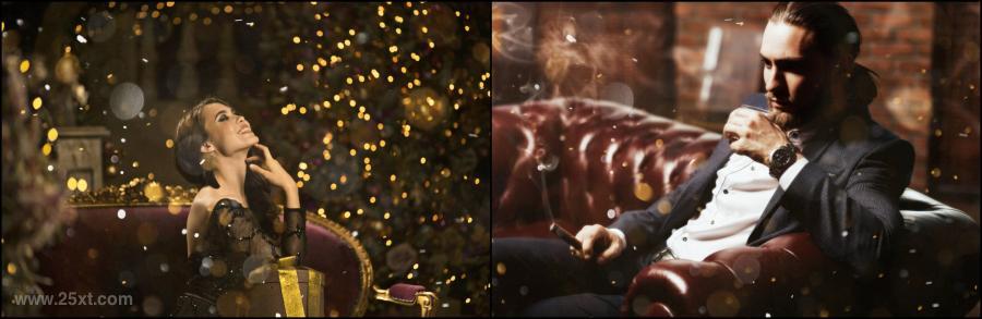 25xt-128029 50-Cinematic-Golden--Silver-Bokeh-Photo-Overlaysz5.jpg