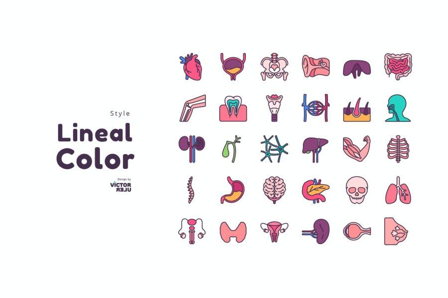 25xt-128078 30-Icons-Human-Organs-Lineal-Color-Stylez3.jpg