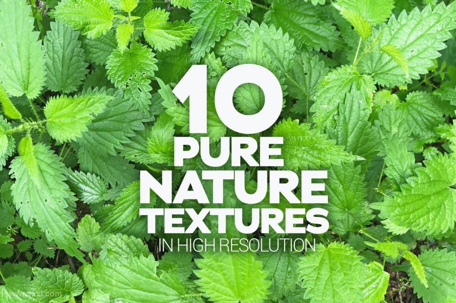 25xt-128082 Pure-Nature-Textures-x10z2.jpg