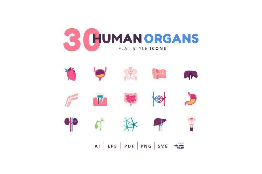 25xt-128089 30-Icons-Human-Organs-Flat-Stylez2.jpg