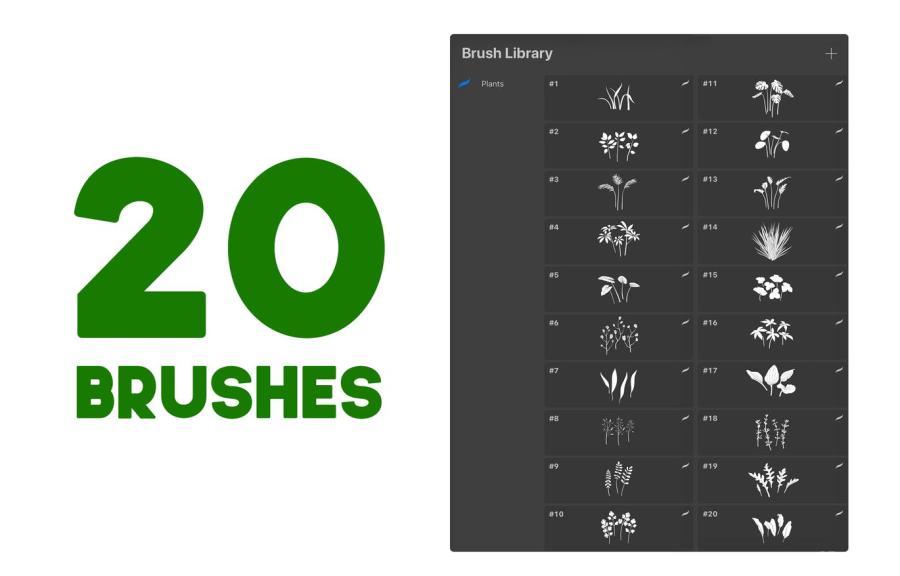 25xt-128111 Procreate-Foliage-Brushes---Plantsz3.jpg