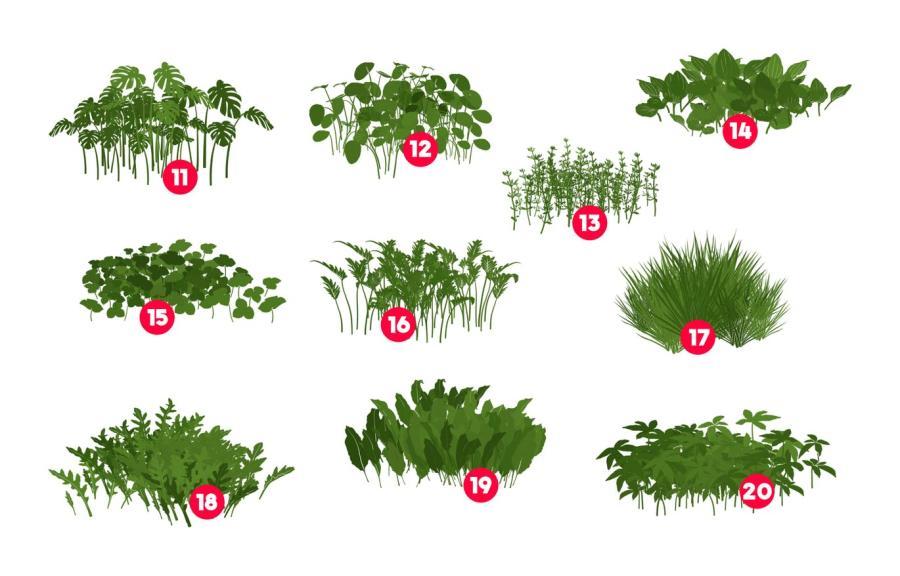 25xt-128111 Procreate-Foliage-Brushes---Plantsz5.jpg