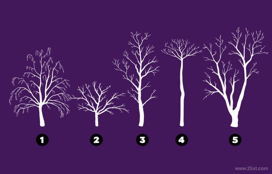 25xt-127914 Procreate-Tree-Silhouette-Stamp-Brushesz4.jpg