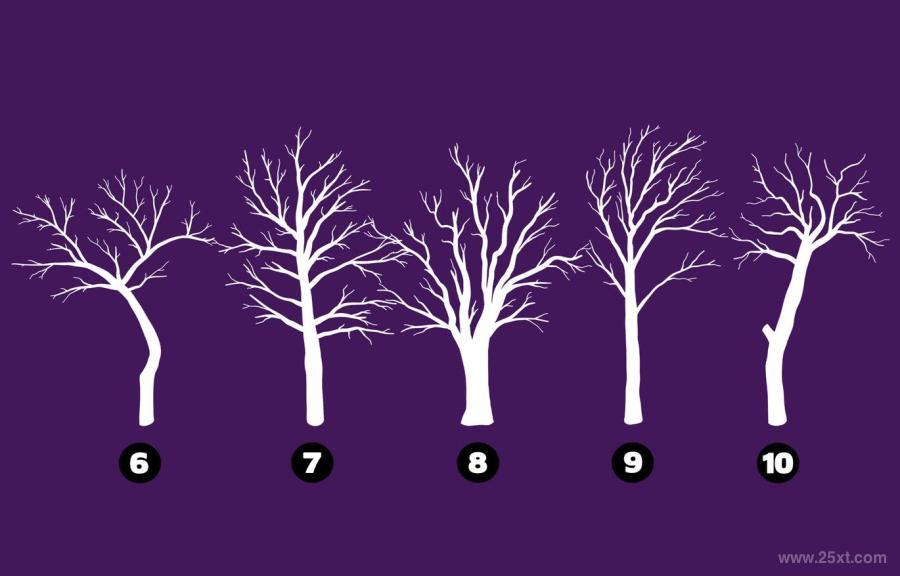 25xt-127914 Procreate-Tree-Silhouette-Stamp-Brushesz5.jpg