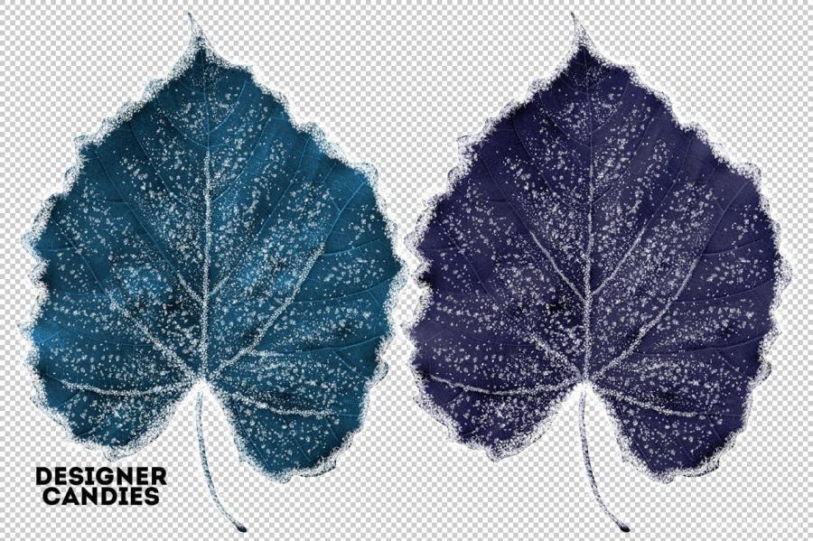 25xt-127985 Winter-Leaves--Leaf-Overlaysz14.jpg