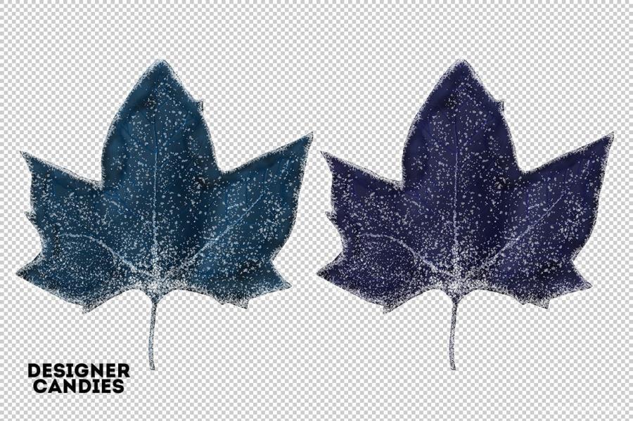 25xt-127985 Winter-Leaves--Leaf-Overlaysz6.jpg