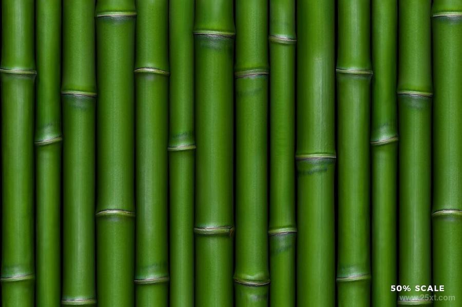 25xt-127999 Bamboo-Patternsz4.jpg