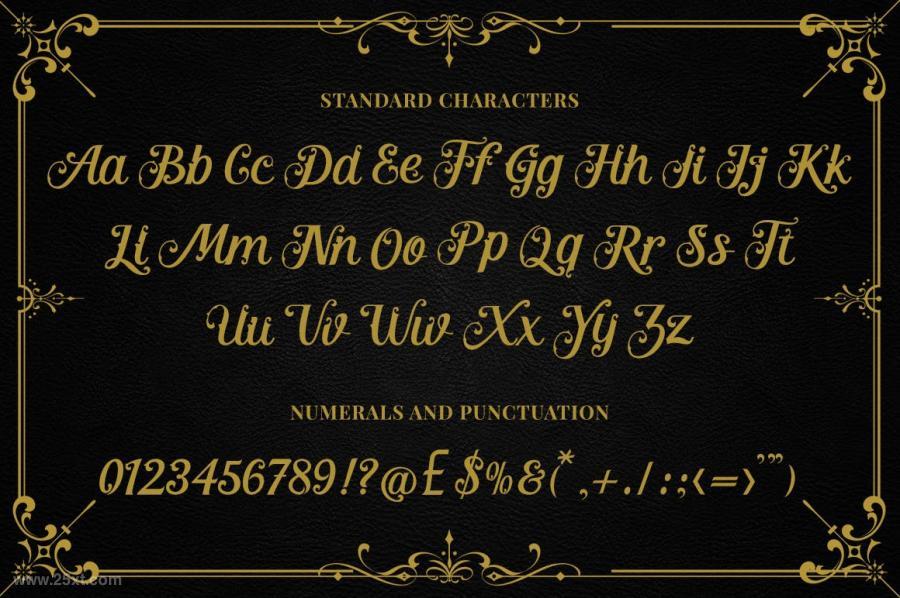 25xt-160164 Kingston---Elegant-Script-Fontz12.jpg