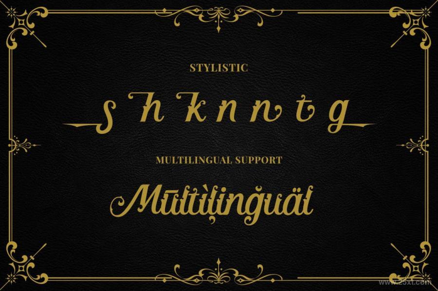 25xt-160164 Kingston---Elegant-Script-Fontz13.jpg