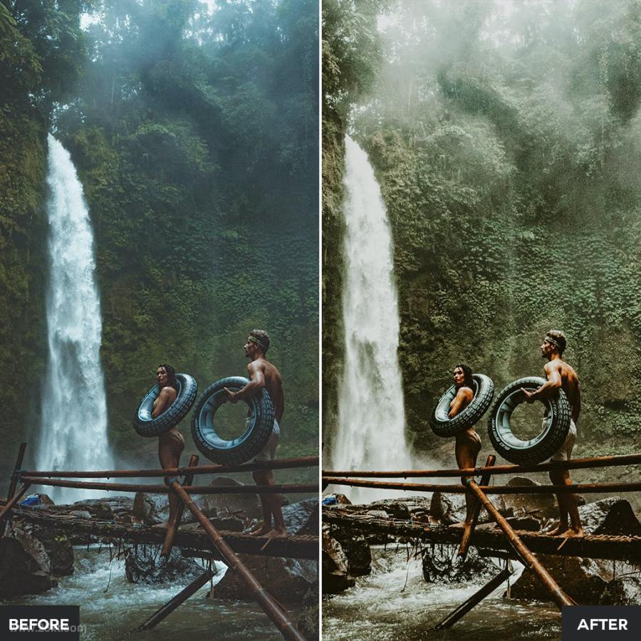 25xt-128319 Jungle-Lightroom-Presetsz4.jpg