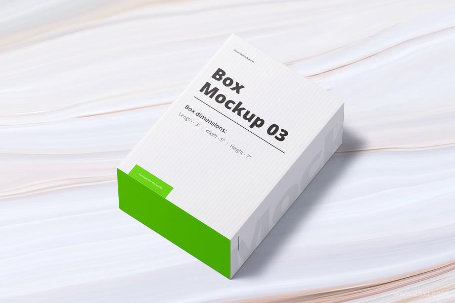 25xt-160222 Box-Mockup-03z8.jpg