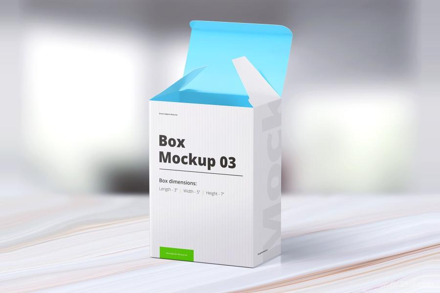 25xt-160222 Box-Mockup-03z9.jpg