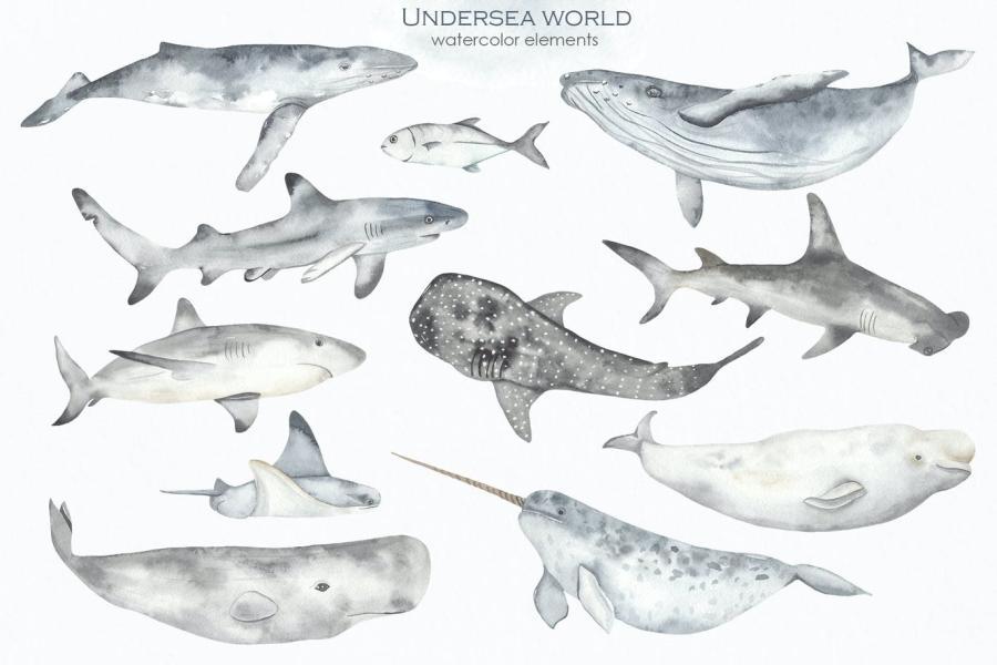 25xt-160241 Undersea-world-Watercolorz3.jpg
