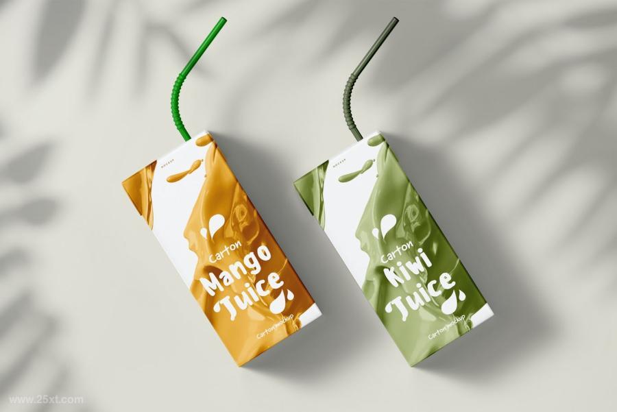 25xt-160307 Juice-Carton-Mock-upz12.jpg