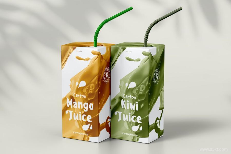 25xt-160307 Juice-Carton-Mock-upz6.jpg