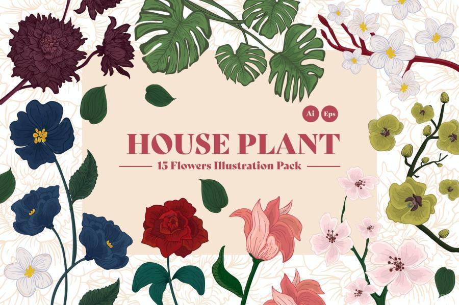 25xt-128146 House-Plant-Illustration-Kitz2.jpg
