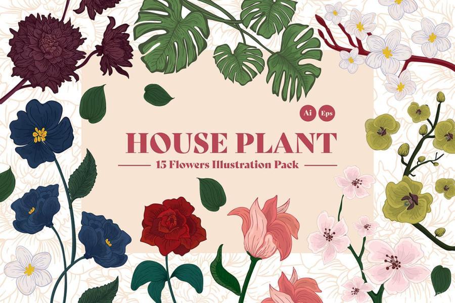 25xt-128146 House-Plant-Illustration-Kitz3.jpg