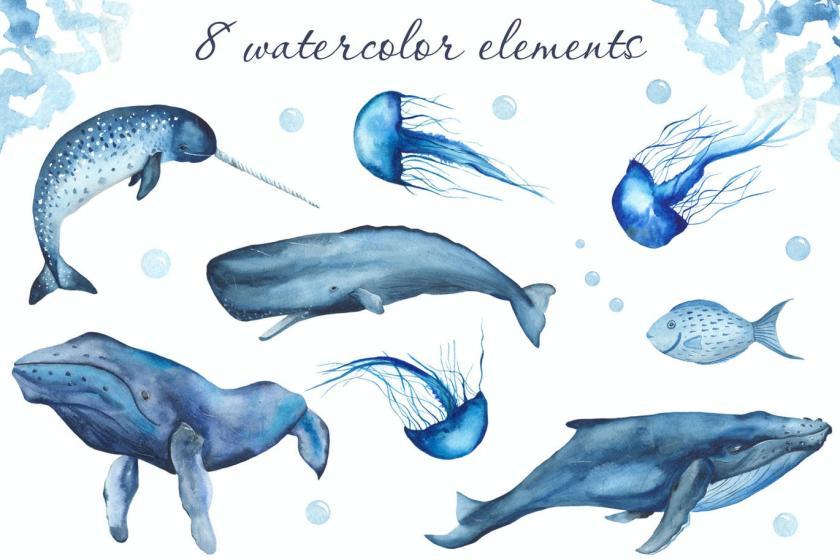 25xt-160409 WatercolorBlueOceanMammalsz3.jpg