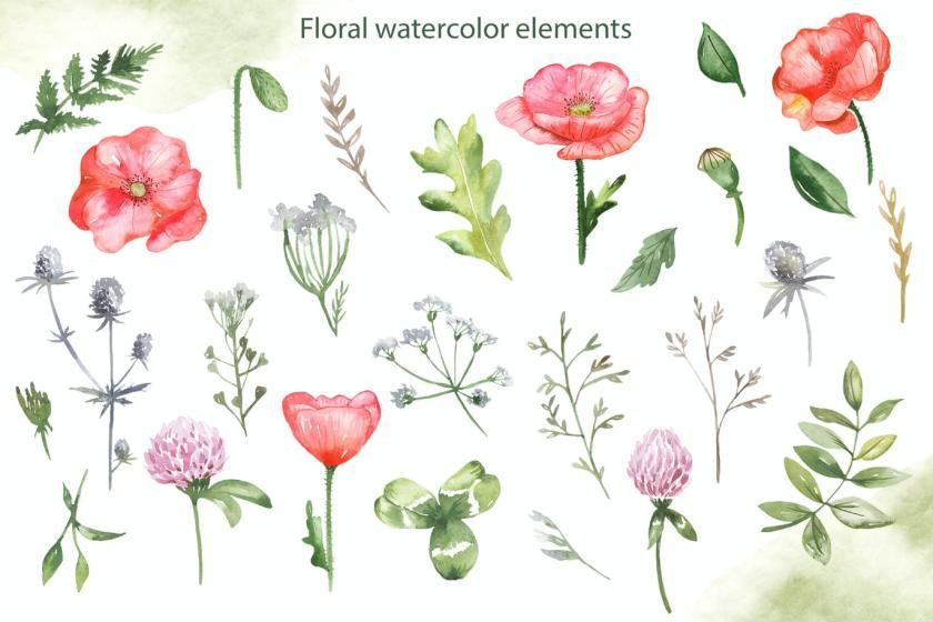 25xt-160412 WatercolorMeadowflowersandHerbsz4.jpg