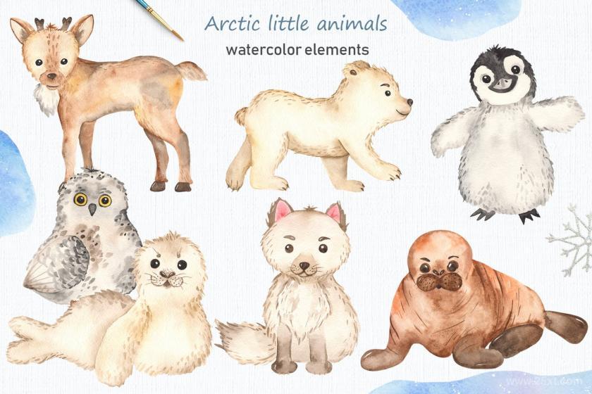 25xt-160413 WatercolorArcticlittleanimalsClipartcardsz3.jpg