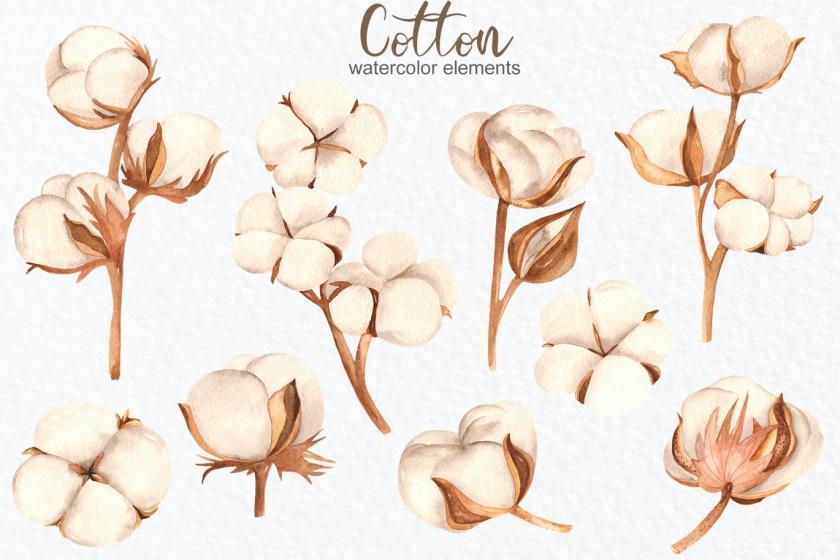 25xt-160414 WatercolorcottonClipart,frames,wreathsz3.jpg