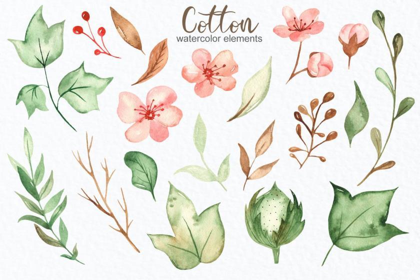 25xt-160414 WatercolorcottonClipart,frames,wreathsz4.jpg