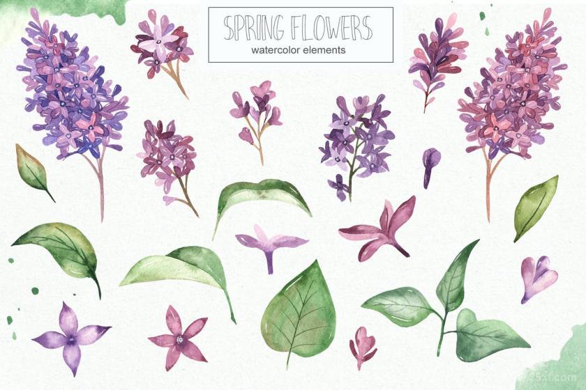 25xt-160422 Watercolorspringflowerscollectionz3.jpg