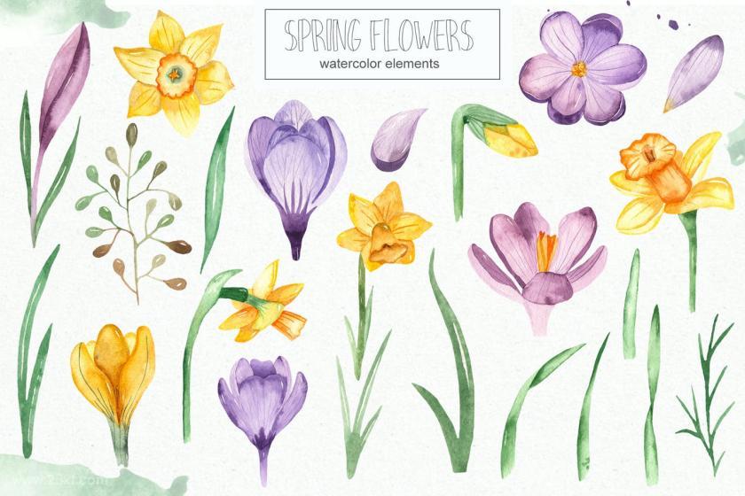 25xt-160422 Watercolorspringflowerscollectionz4.jpg