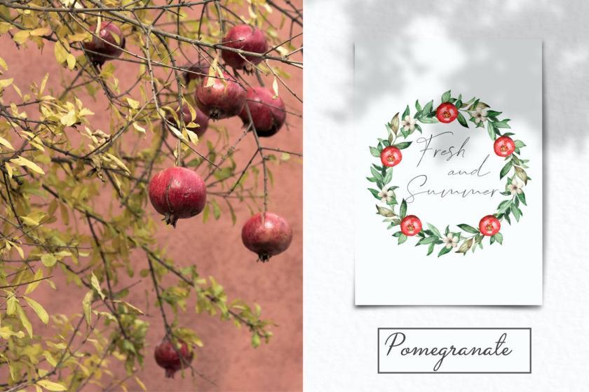 25xt-160429 WatercolorpomegranateClipart,frames,wreathsz12.jpg