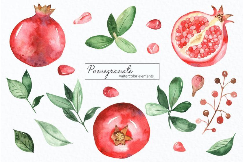 25xt-160429 WatercolorpomegranateClipart,frames,wreathsz4.jpg