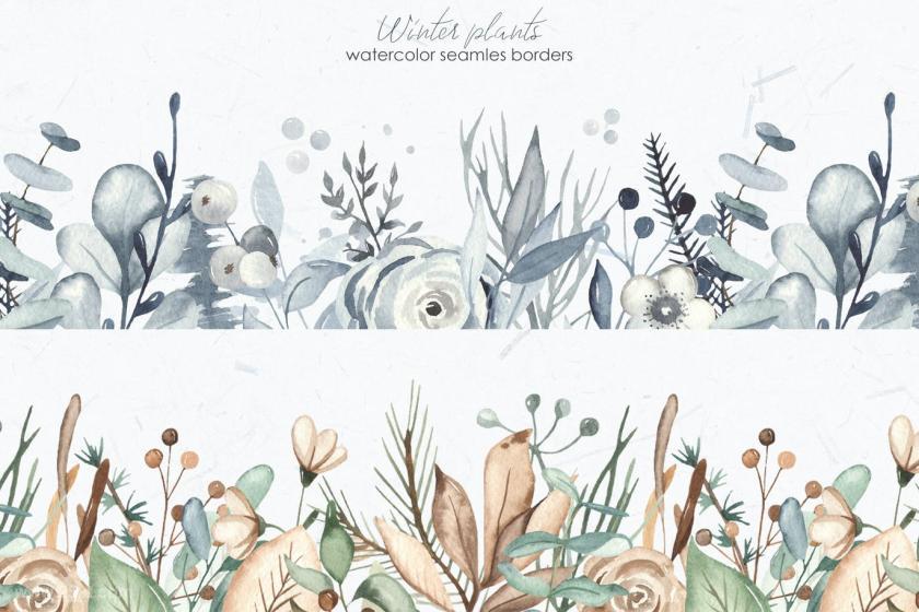 25xt-160436 Watercolorwinterplantsz10.jpg